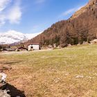 Bergfrühling im Val di Camp