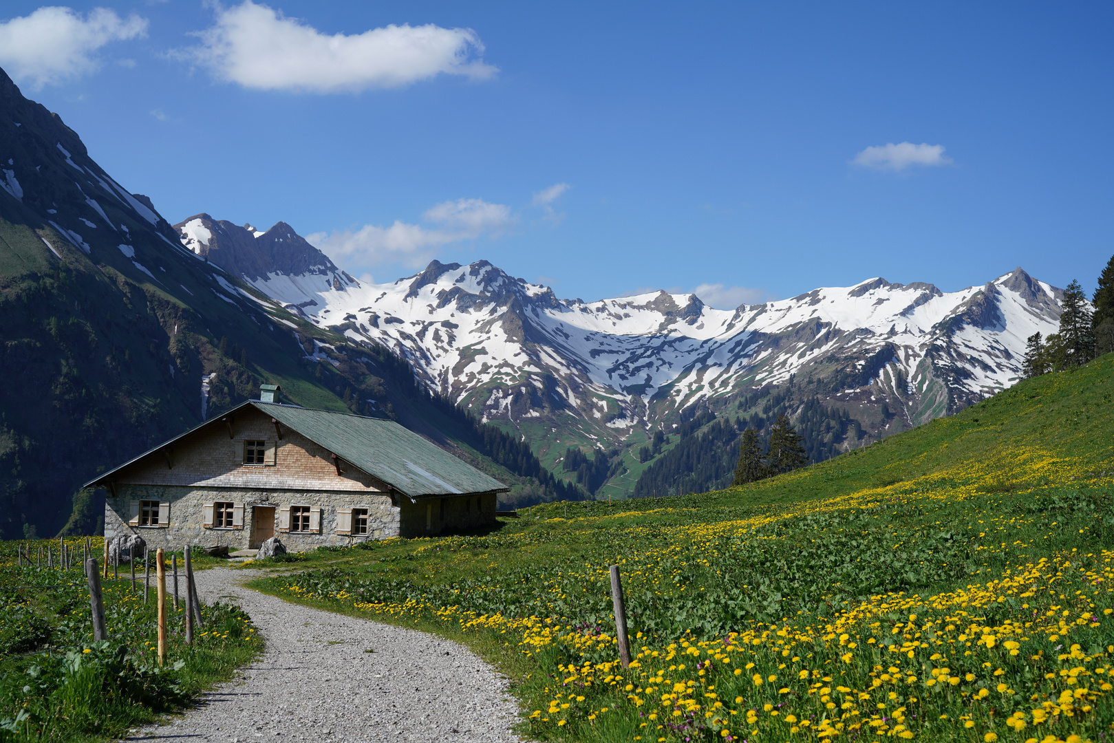 Bergfrühling in den Allgäuer Alpen