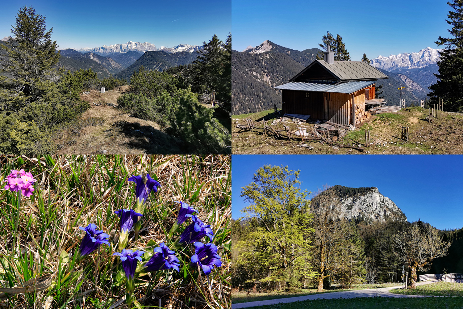 Bergfrühling in Schwangau!