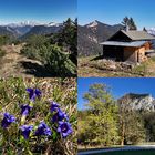 Bergfrühling in Schwangau!