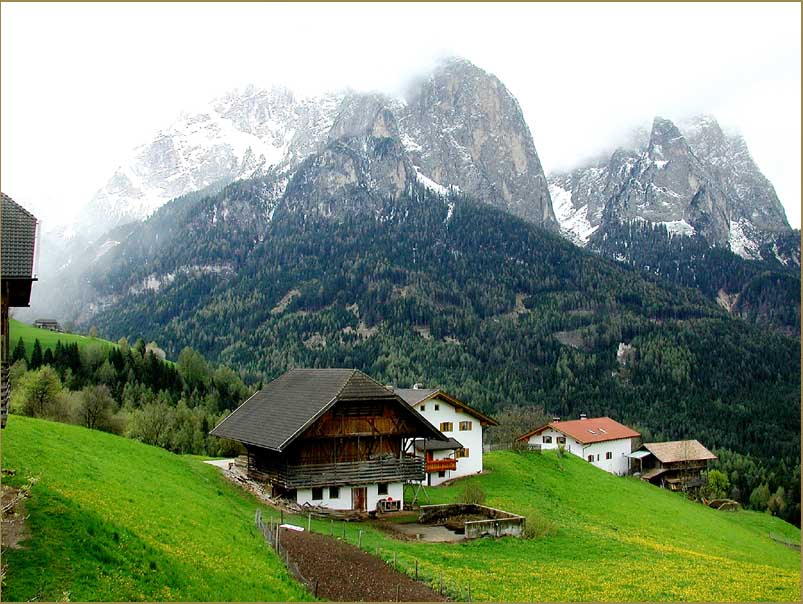 Bergfrühling/Südtirol
