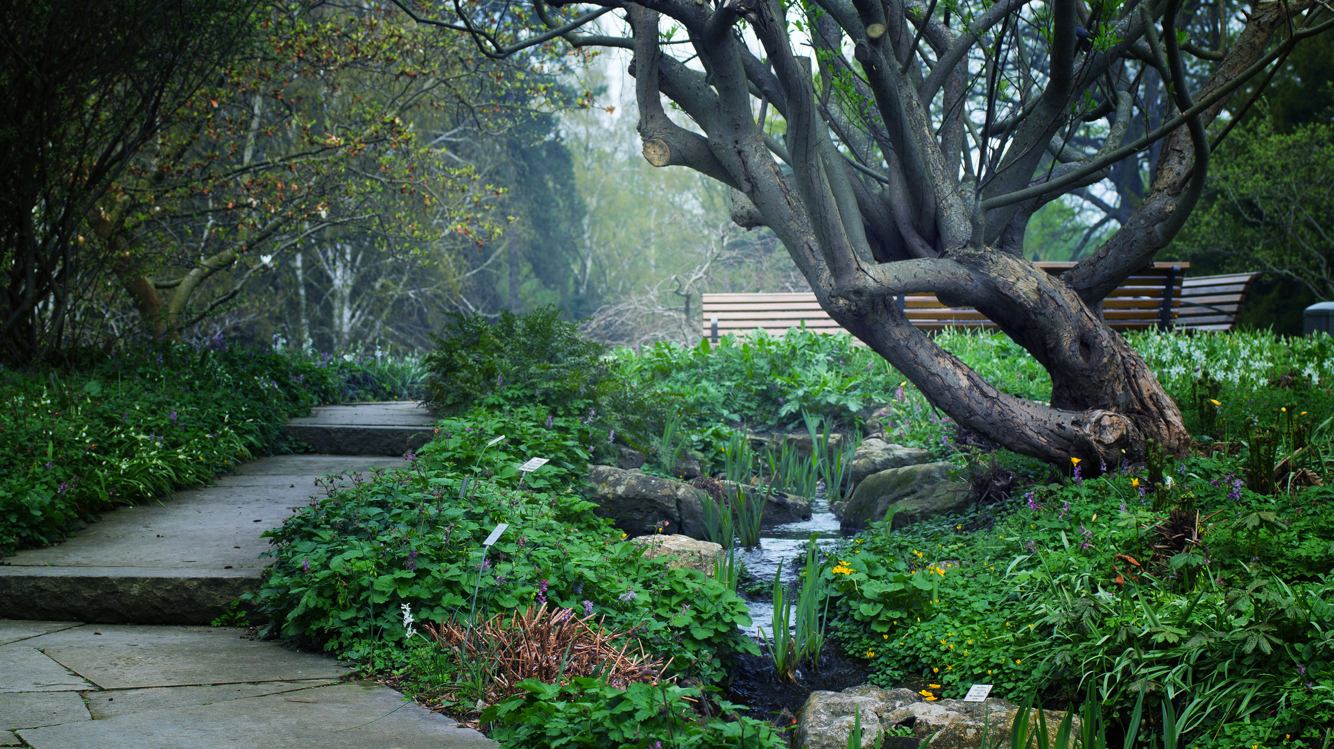 Berggarten Hannover