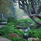 Berggarten Hannover