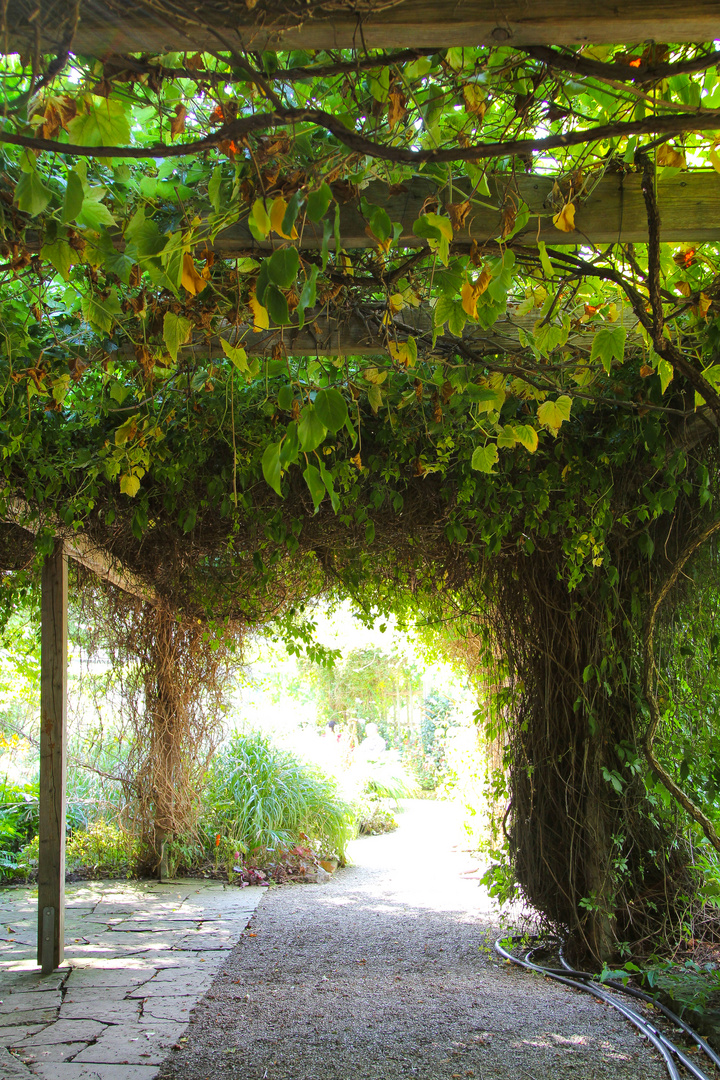 Berggarten Herrenhausen #6