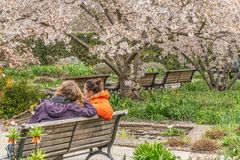 Berggarten im Frühling 2023 - Hannover I