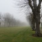 Berggarten im Nebel