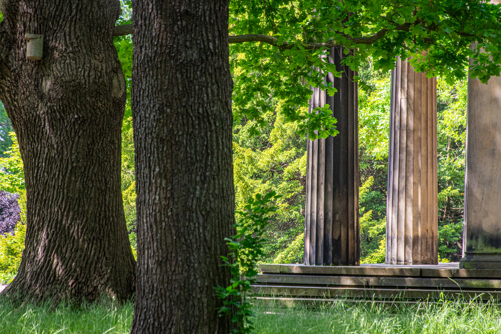 Berggarten XXII - Hannover