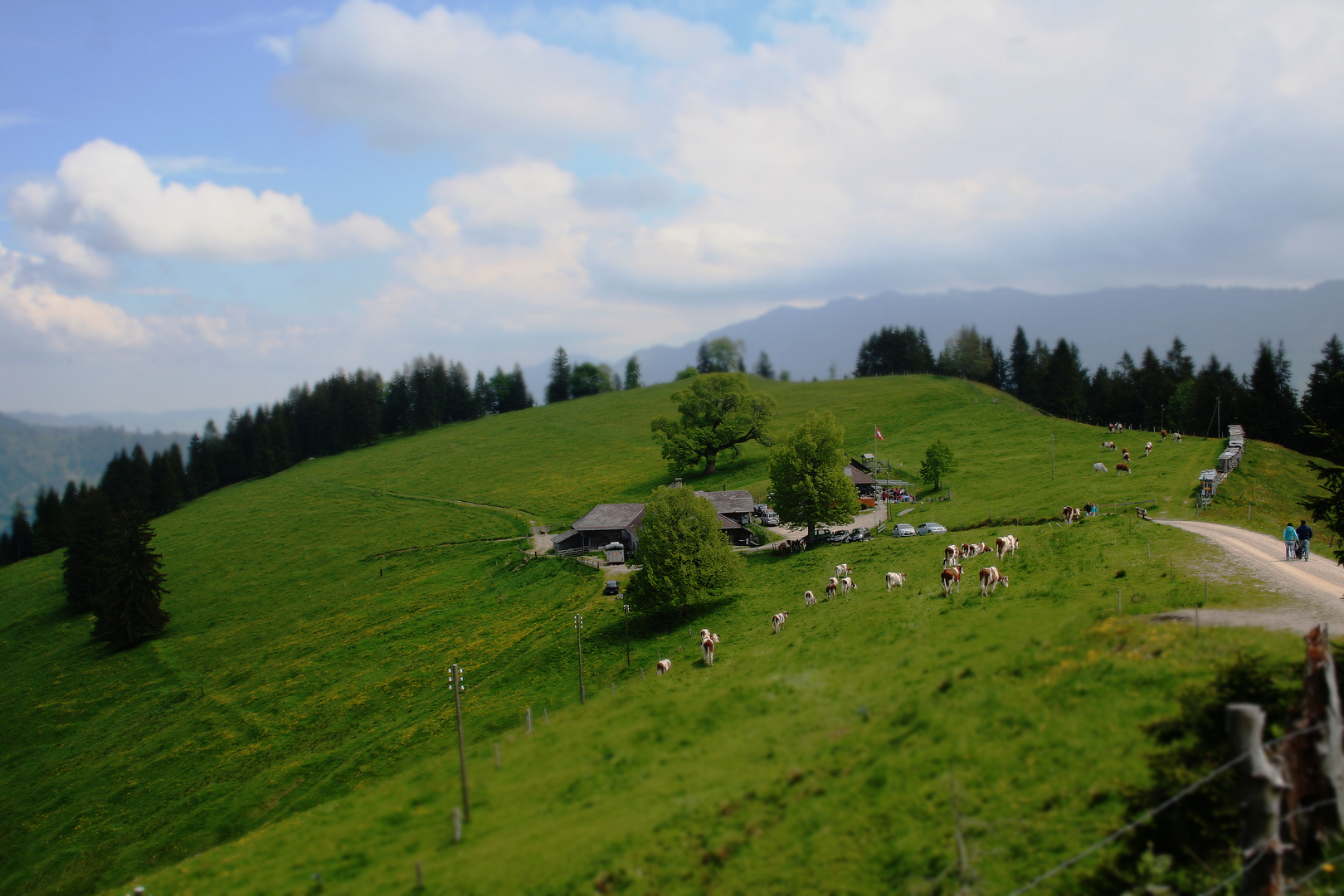 Berggasthof Erika Rämisgummen