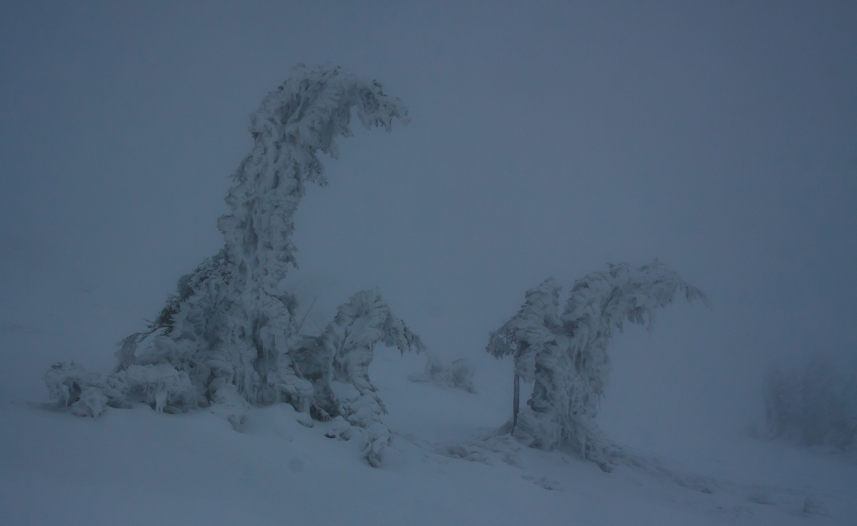 Berggeister am Stuhleck