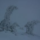 Berggeister am Stuhleck