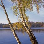 Berggeistsee / Brühl