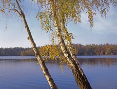 Berggeistsee / Brühl