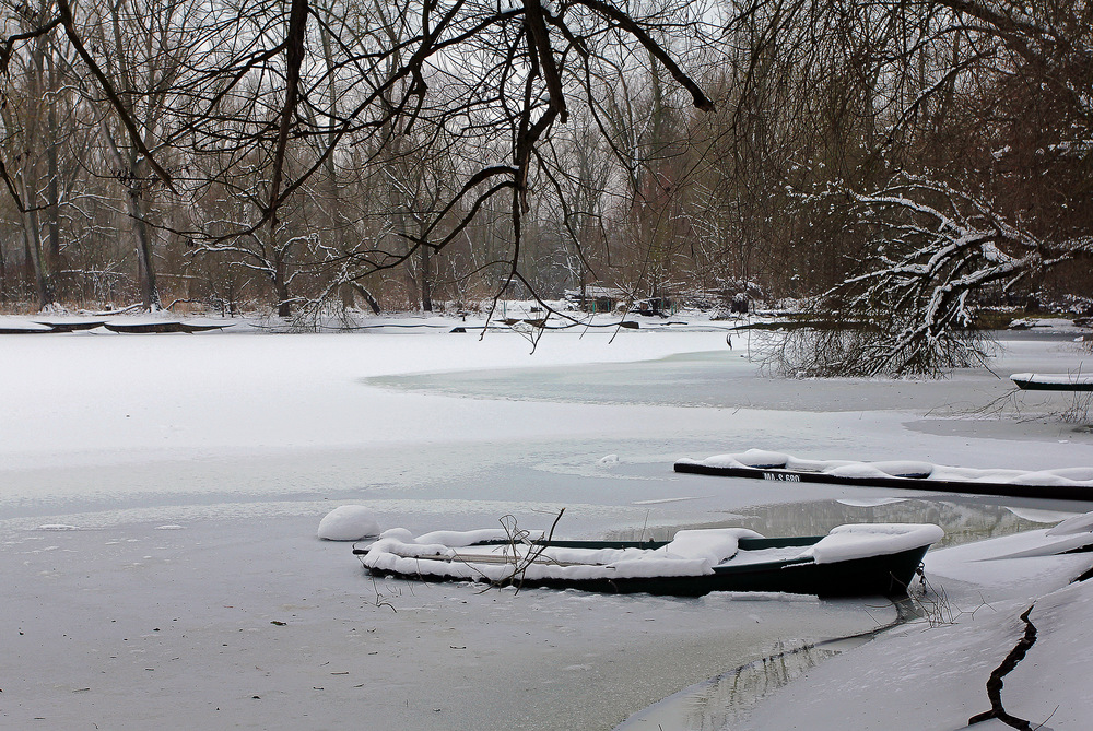 Berghäuser Altrheinwinter