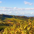 Berghausenregion im Herbst