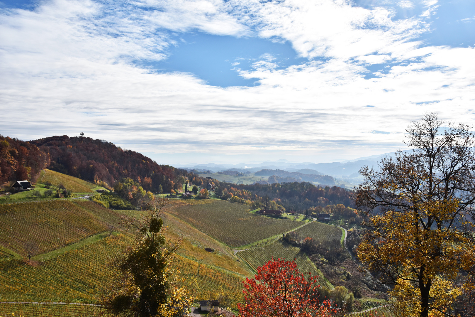 Berghausen,Tementausblick