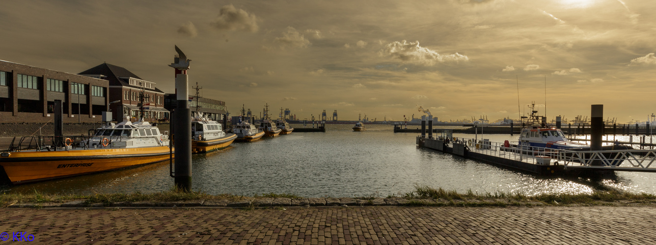 Berghaven in Hoek van Holland