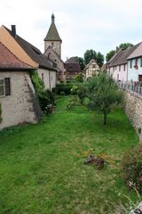 bergheim 2