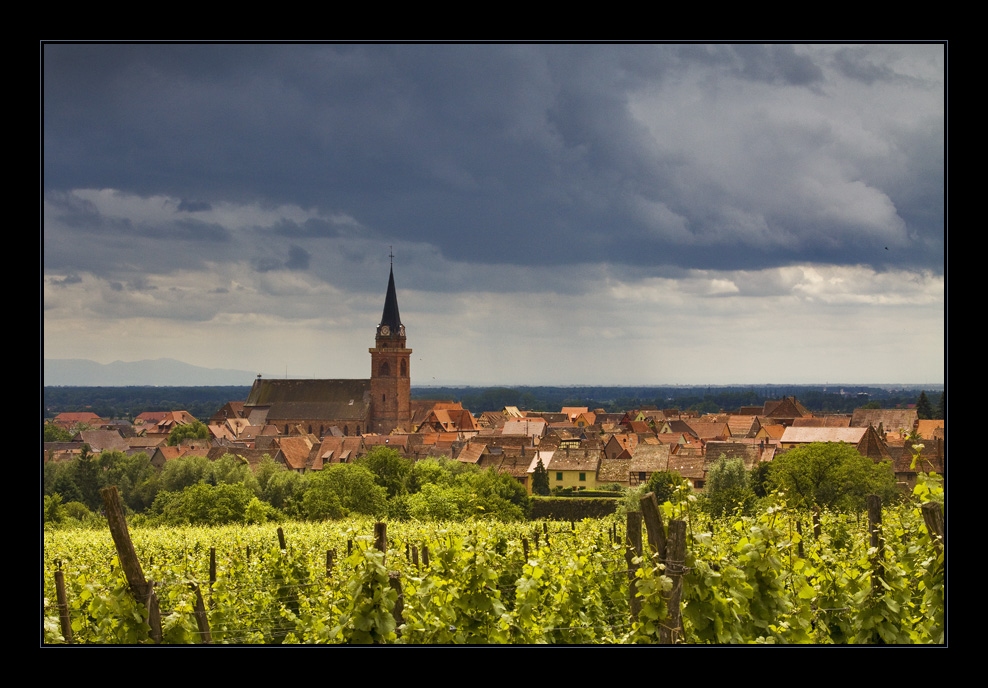 Bergheim Foto & Bild europe, france, alsace elsass Bilder auf