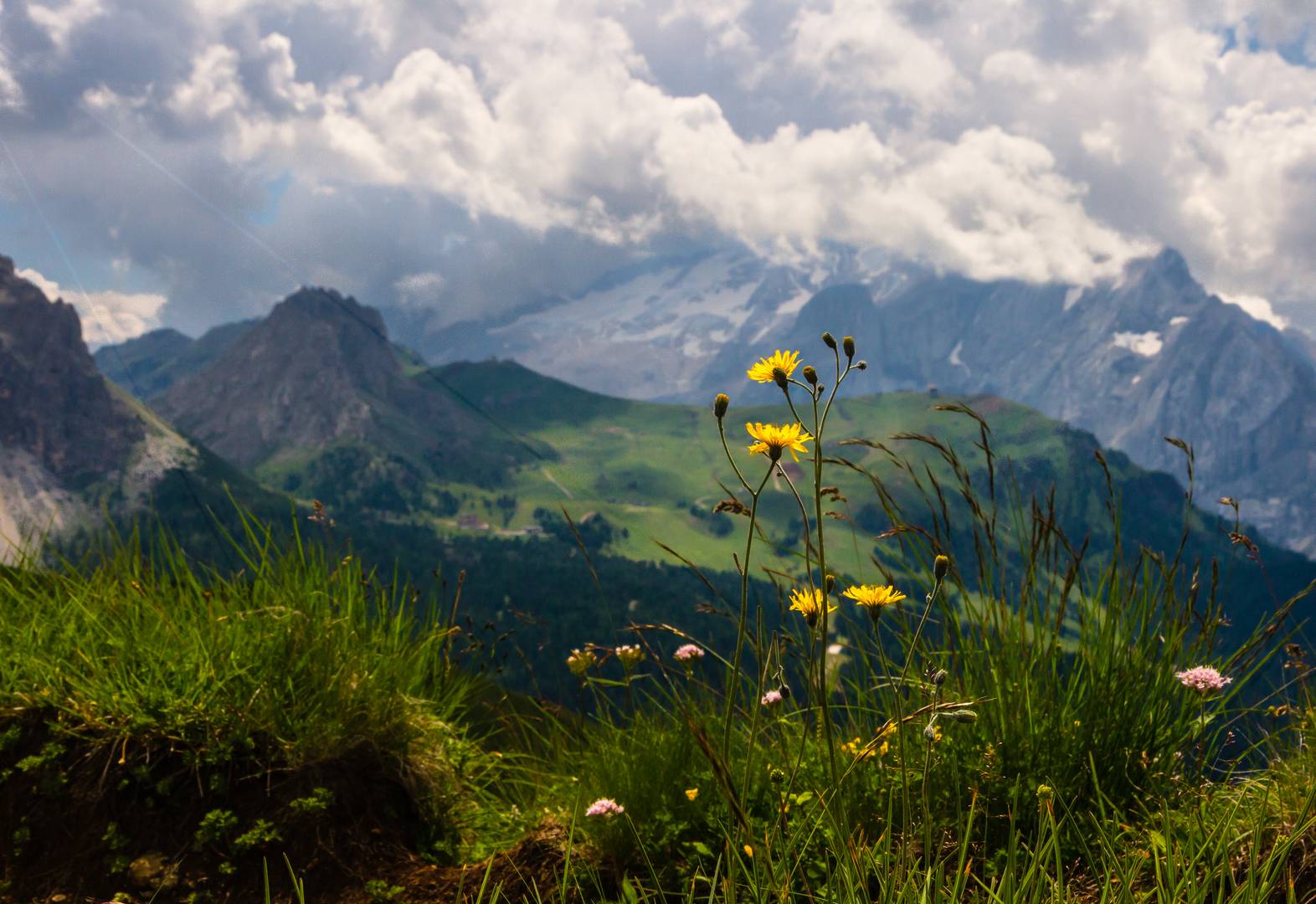 Berg.....Heimat du, in dir find ich Ruh..........