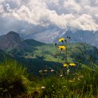 Berg.....Heimat du, in dir find ich Ruh..........