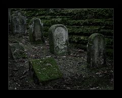 Bergheimer Friedhof Heidelberg