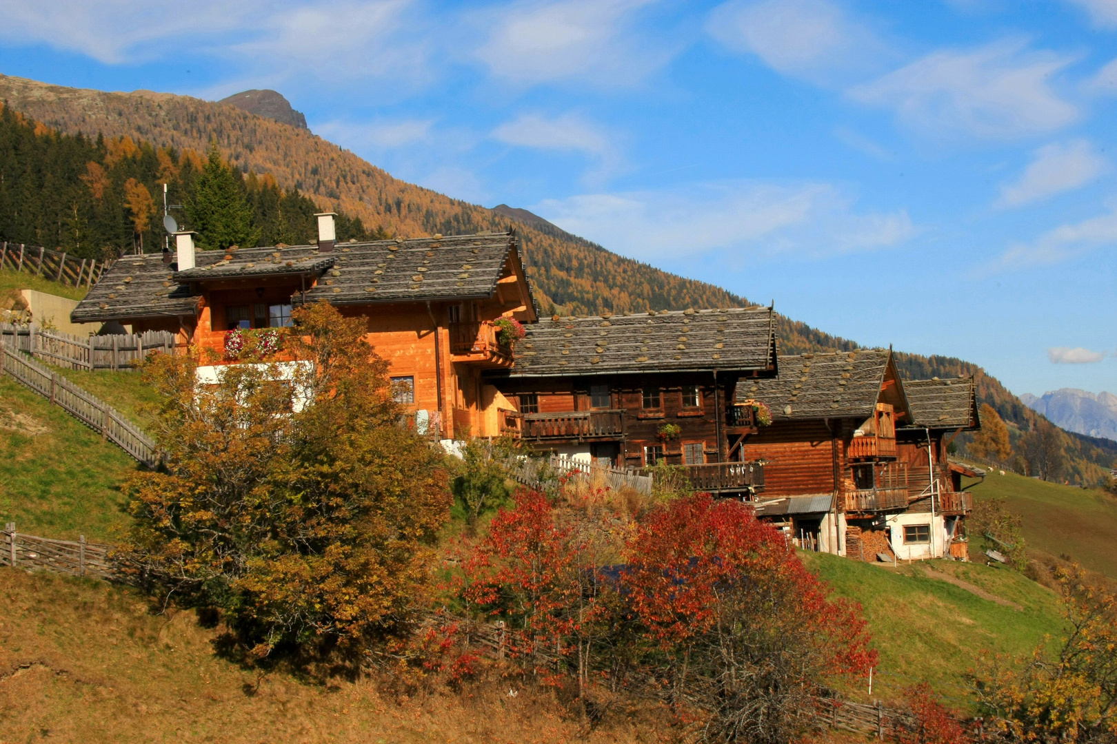 Berghöfe in St. Nikolaus / Ultental