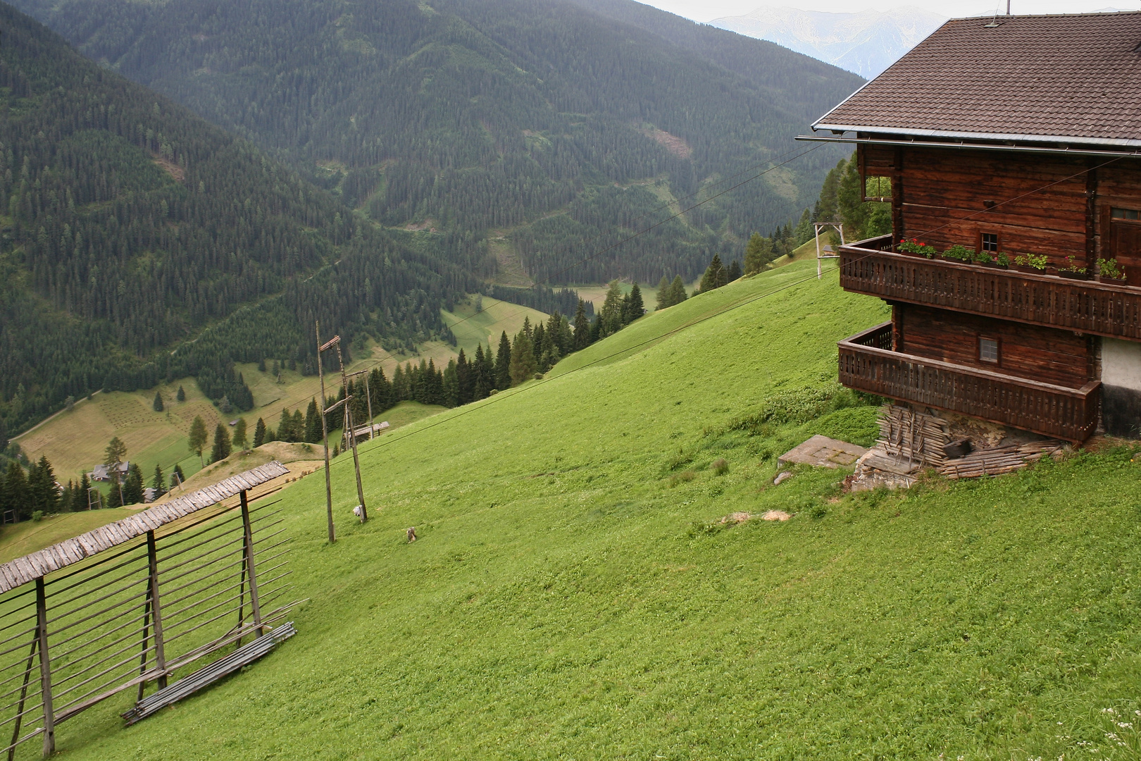 Berghof über dem Winkeltal (IMG_7254_ji)