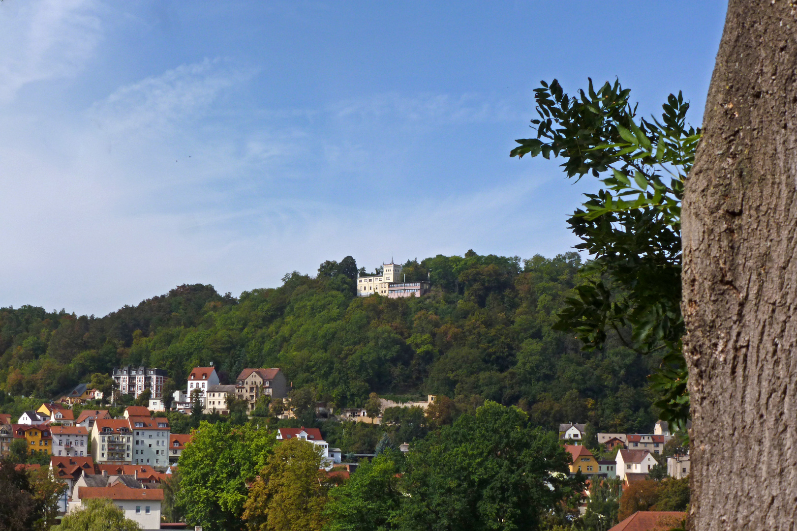 Berghotel Wilhelmsburg