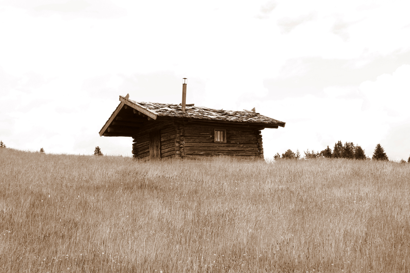 Berghütte in Sepia