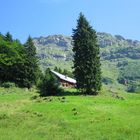 Berghütte mit dem Speer im Hintergrund