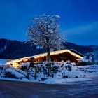 Berghütte/Restaurant Holzkäfer auf 1000 Meter