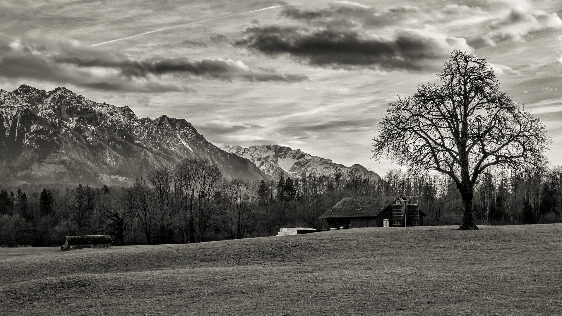 Bergidyll in schwarzweiß 