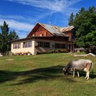 Bergidyll Tschafonhütte