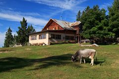 Bergidyll Tschafonhütte