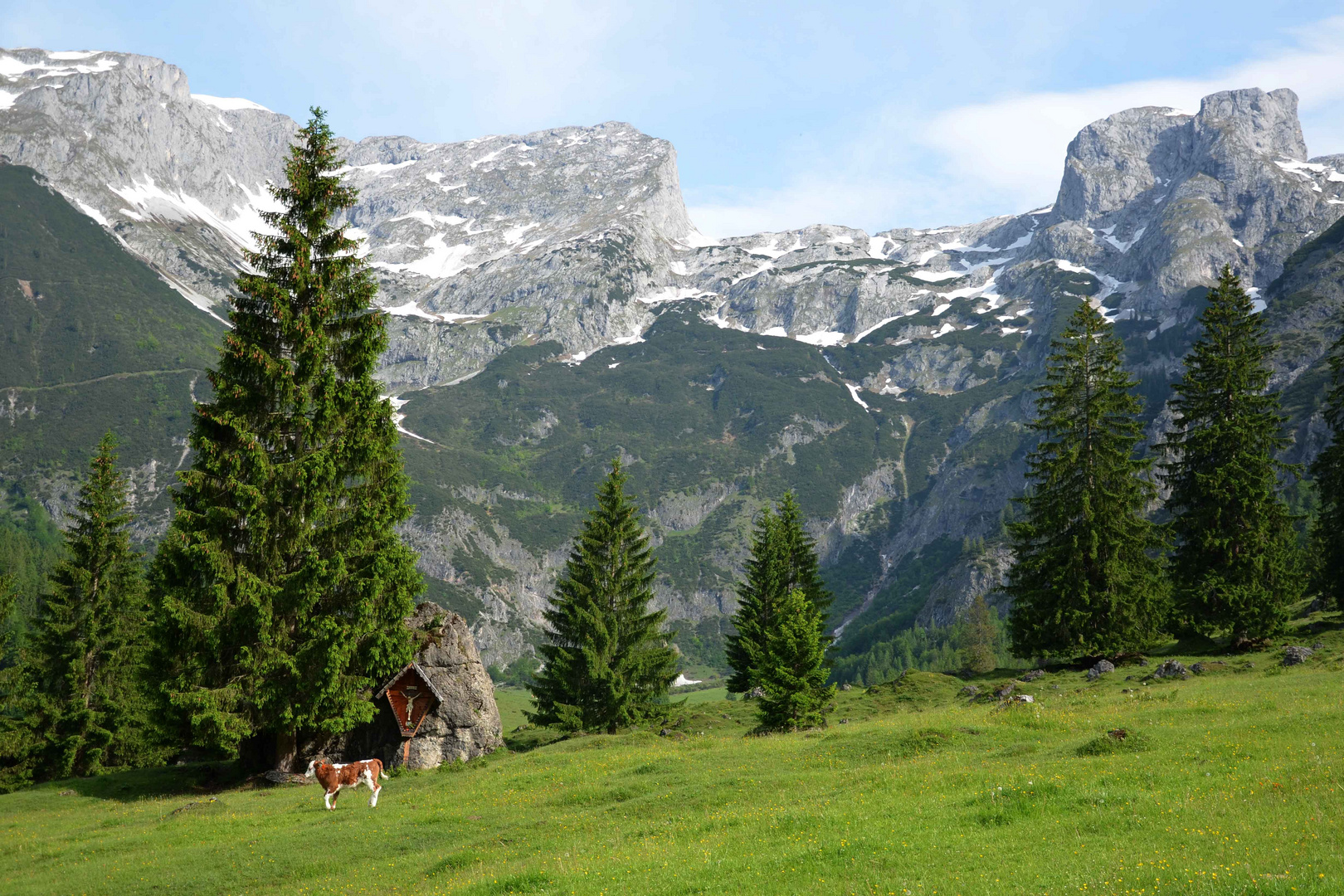 Bergidylle auf dem Weg zur Hacklhütte