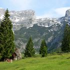 Bergidylle auf dem Weg zur Hacklhütte