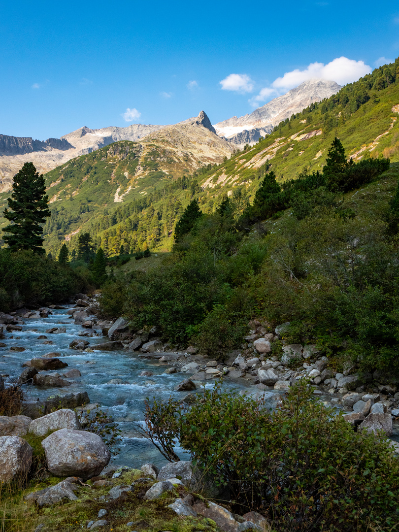 Bergidylle im Zamser Grund