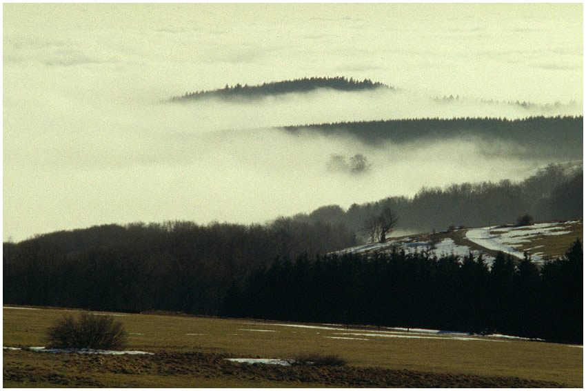 Berginseln im Nebelmeer