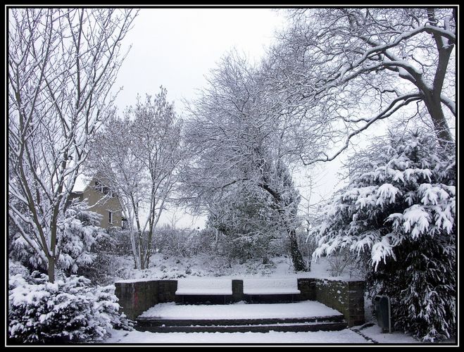 Bergisch Gladbach - Rosengarten-8