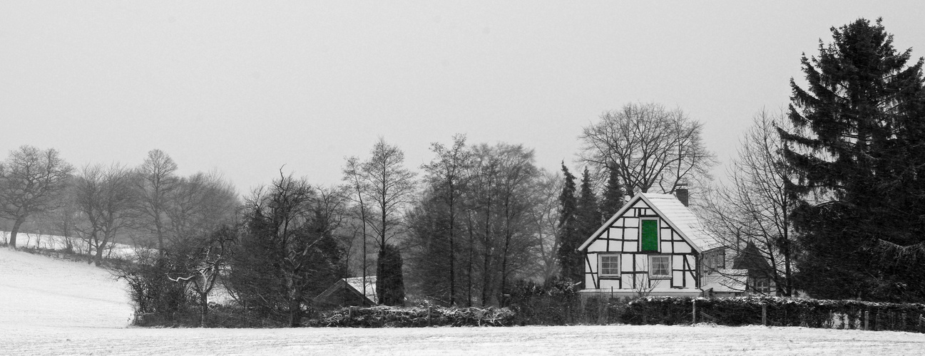 Bergisch Grün