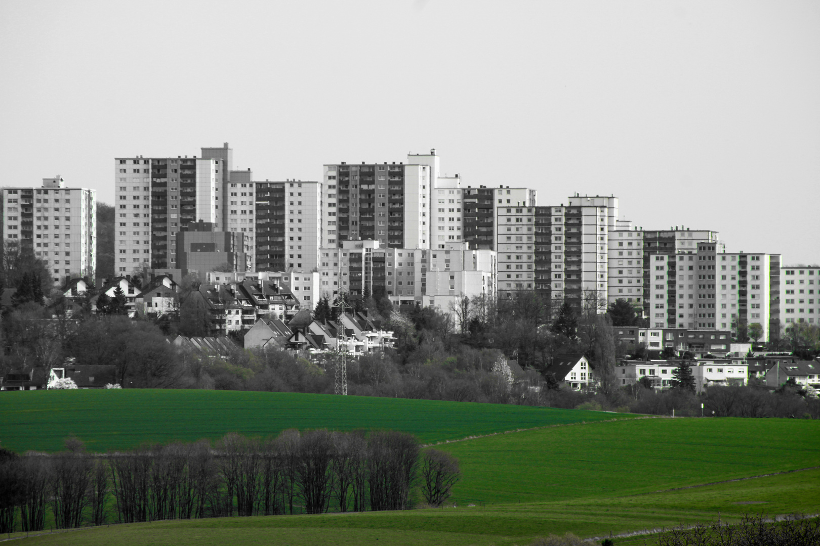 Bergisch Grün...