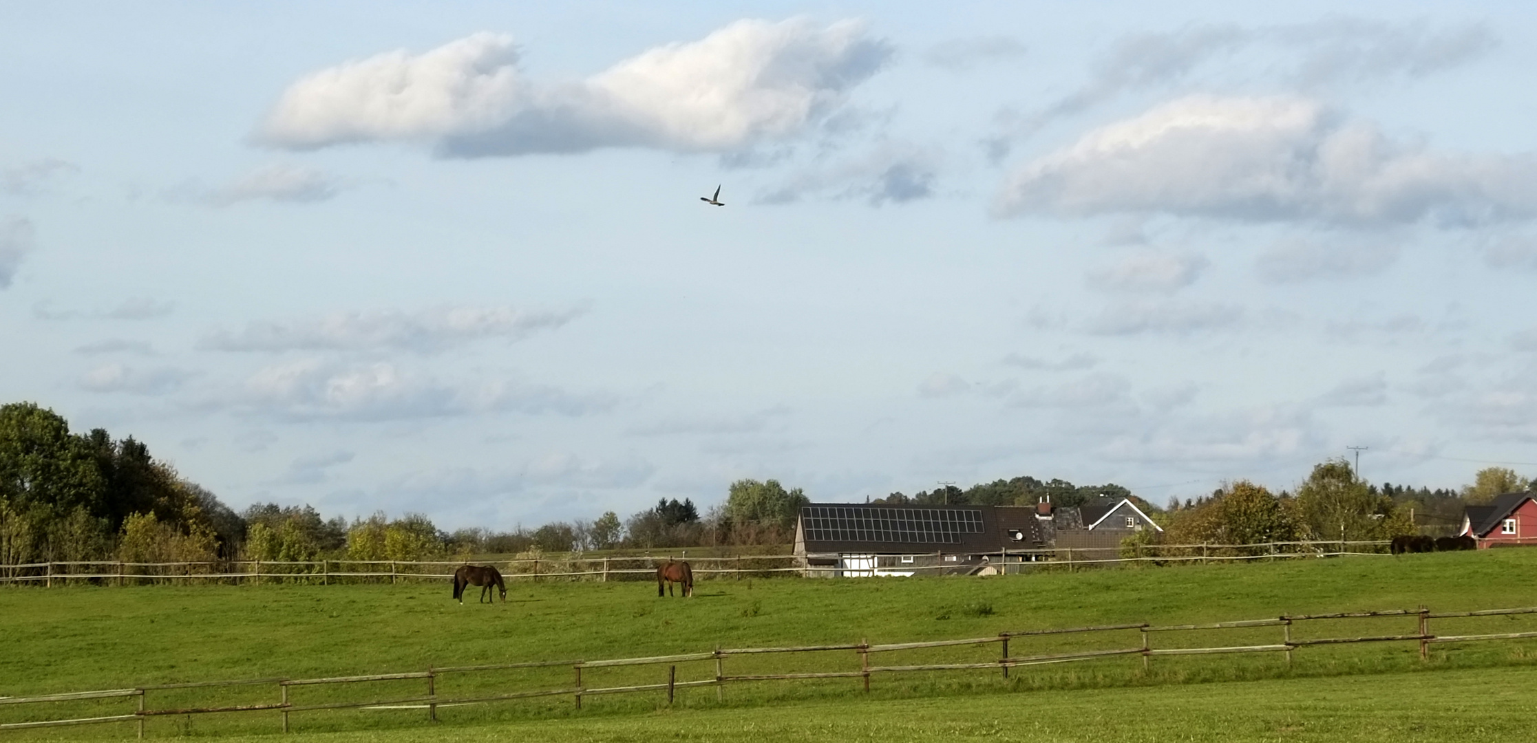 Bergische Idylle