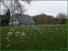 Bergische Idylle...