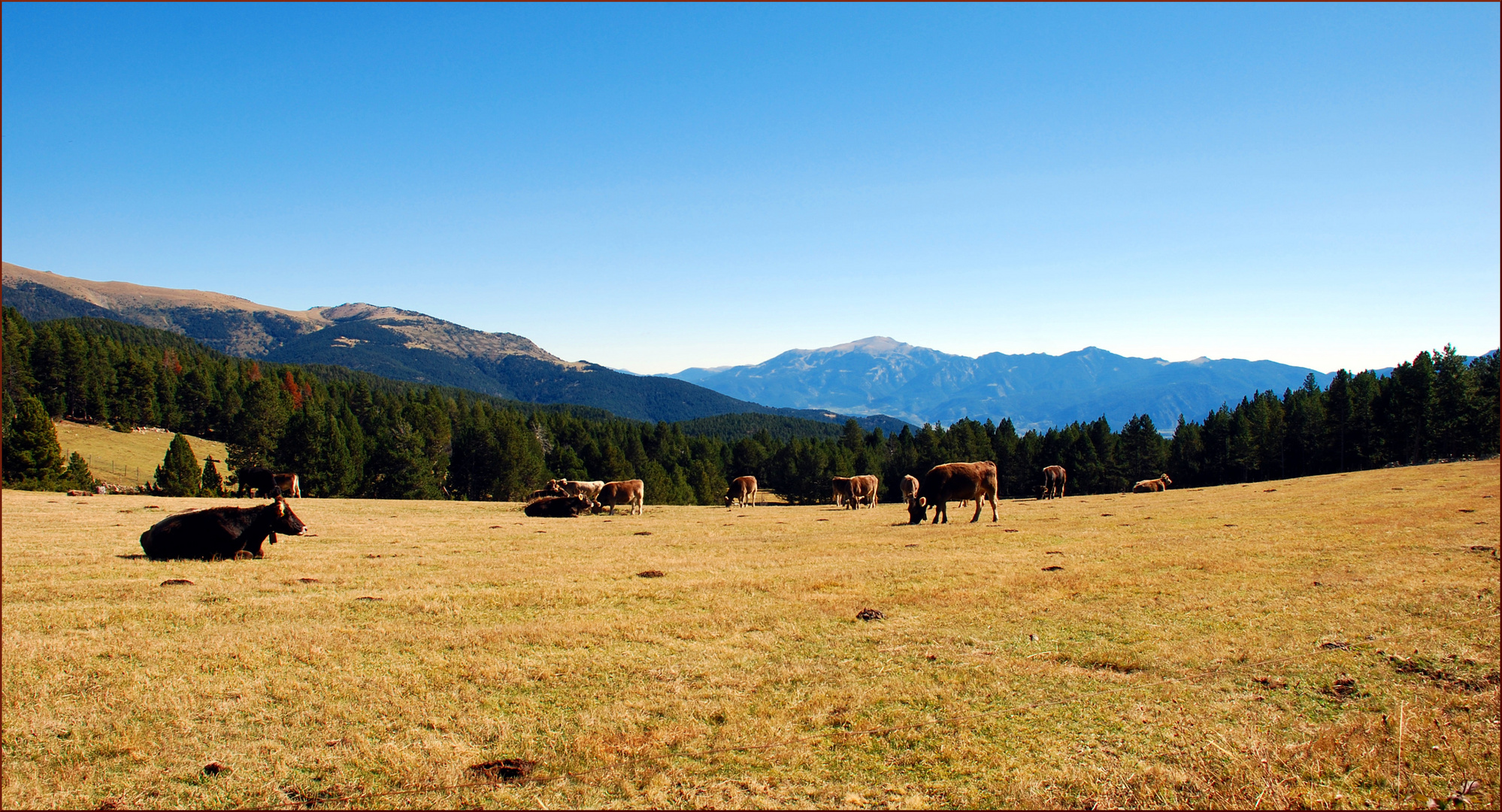 Bergische Idylle # Montañas idílicas