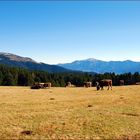 Bergische Idylle # Montañas idílicas