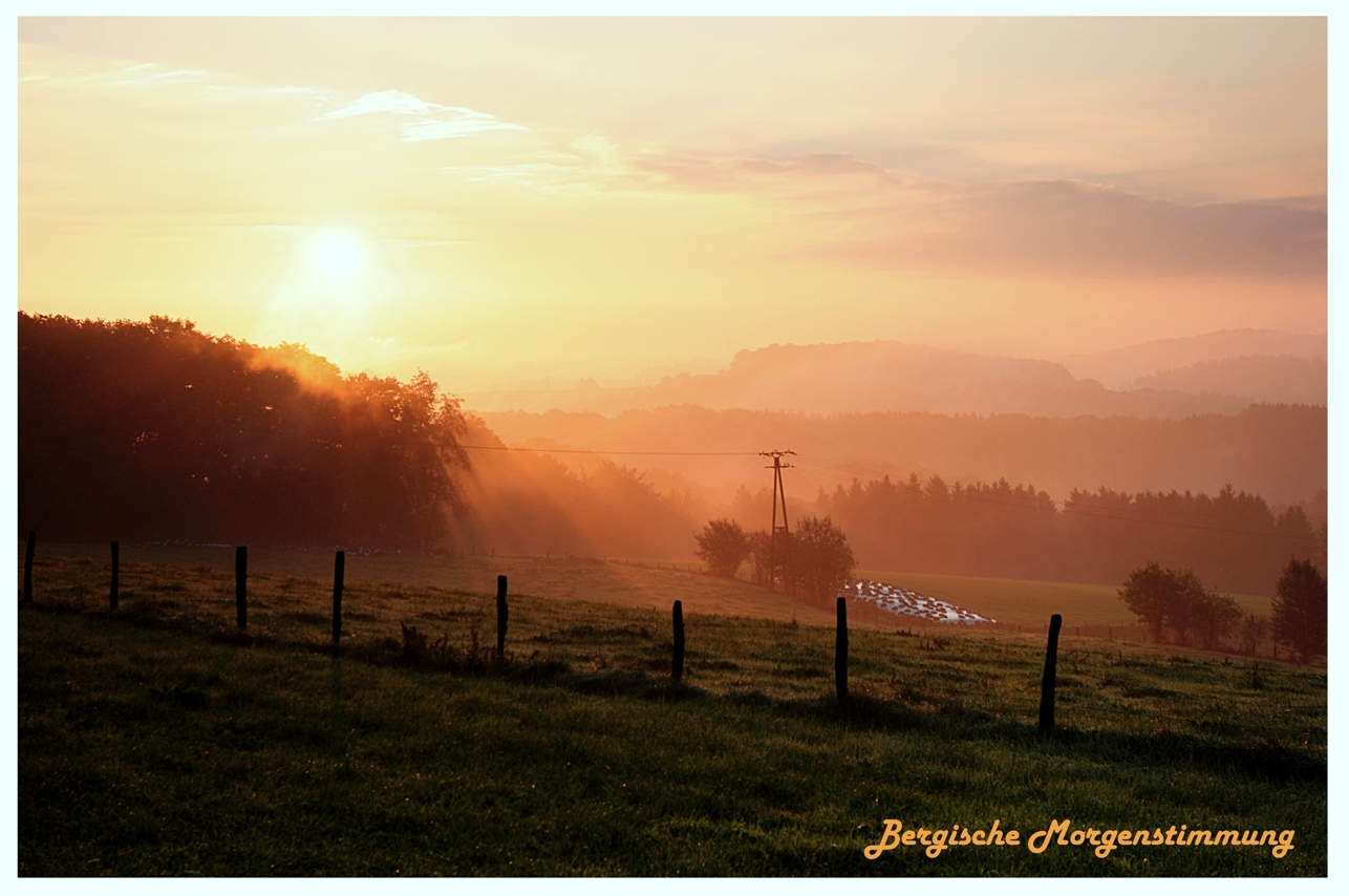 Bergische Morgenstimmung