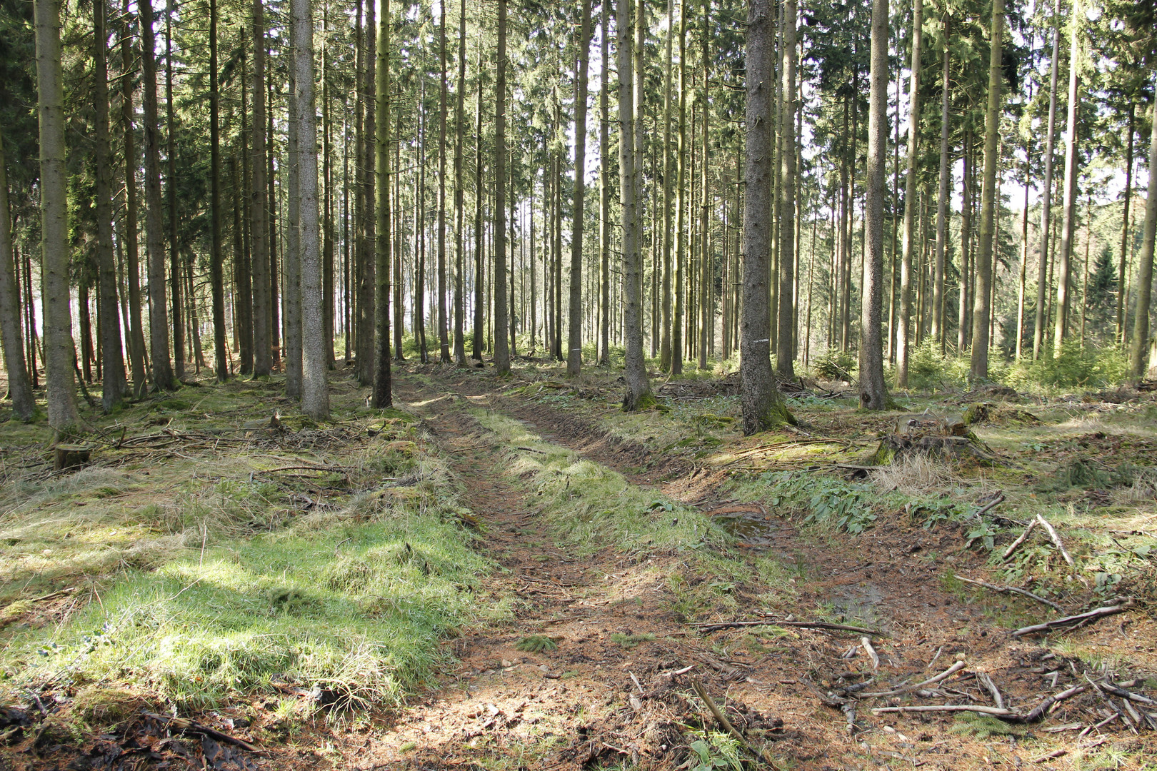 Bergische Streifzüge ...