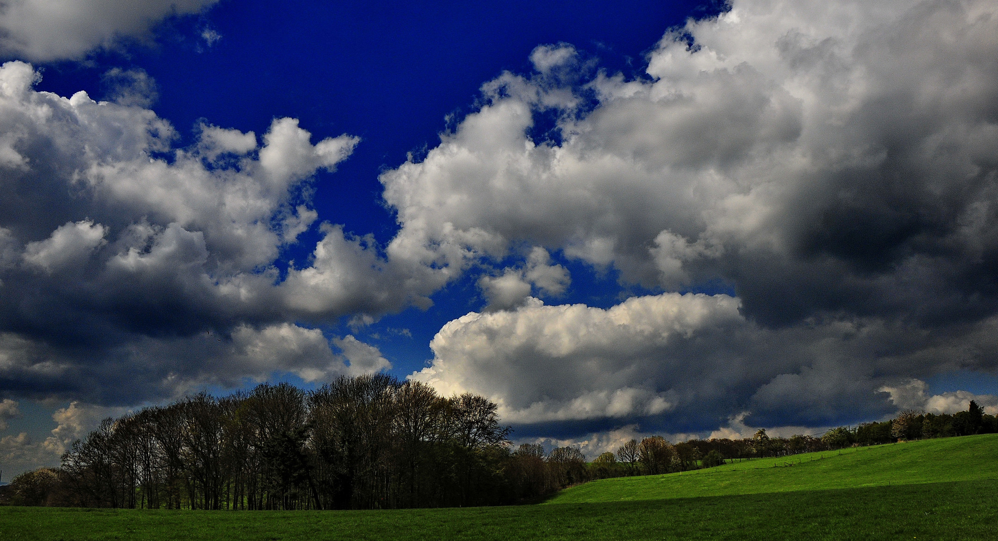 bergischer frühling