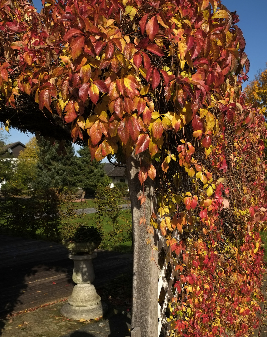 Bergischer Herbst -4-