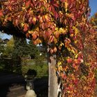 Bergischer Herbst -4-